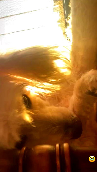 feelbetterinmysweater feelbetterinmysweater archive video