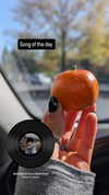 zz.eazoning Altpins Profile Picture