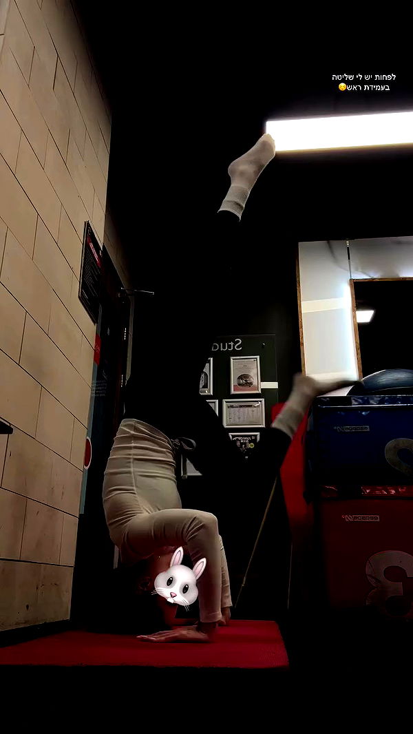 lital.shli archive video preview