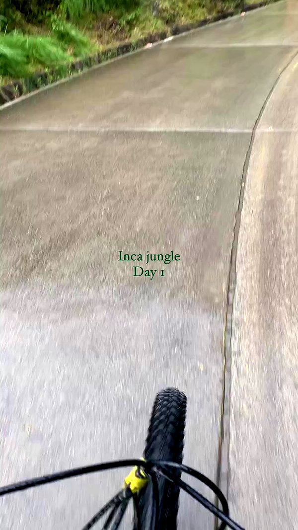 roni__moalem archive video preview