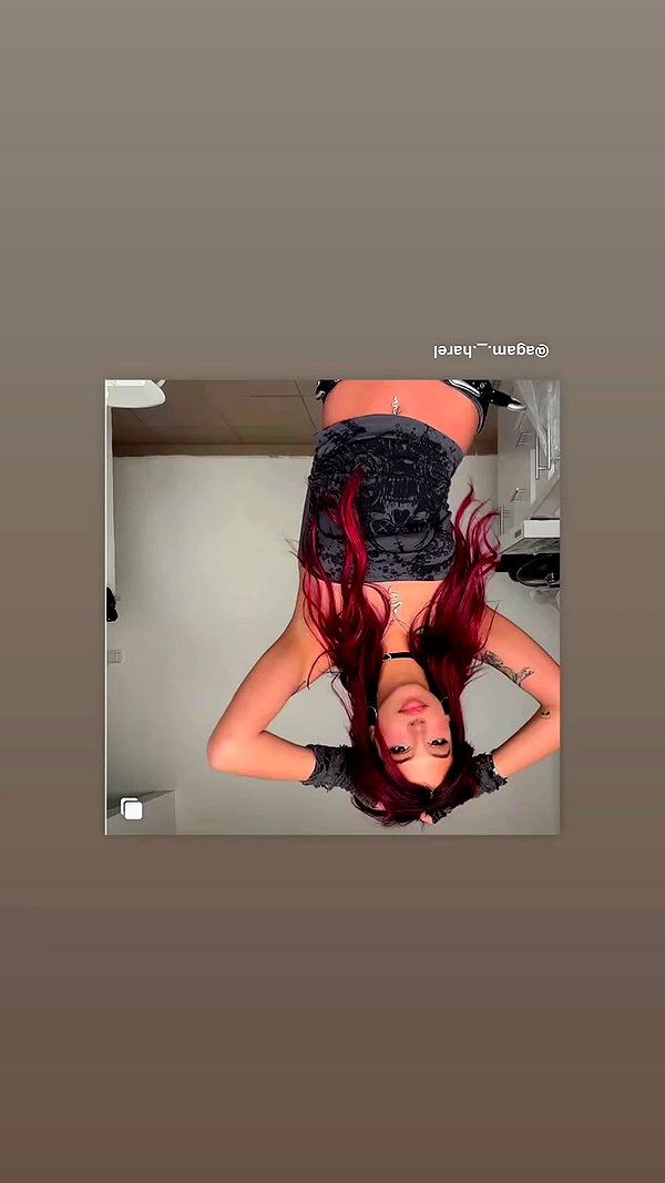 agam._.harel archive video preview
