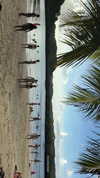 veronika_grish Altpins Profile Picture