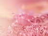 kyliejenner Altpins Profile Picture
