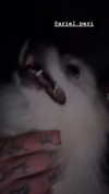 vadim_evs Altpins Profile Picture