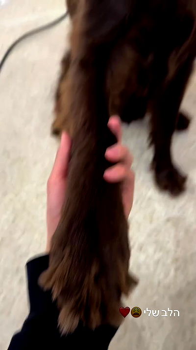 biton__adi biton__adi archive video