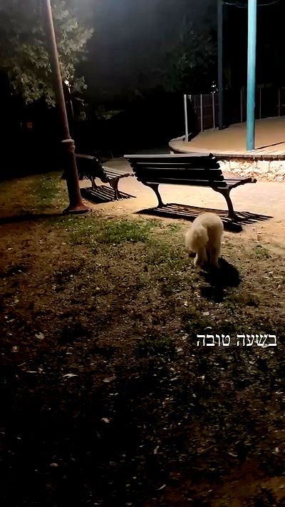 feelbetterinmysweater feelbetterinmysweater archive video