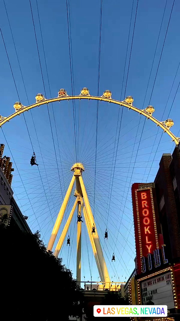 daniel_shallom archive video preview