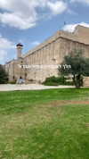 hagarschubert Altpins Profile Picture