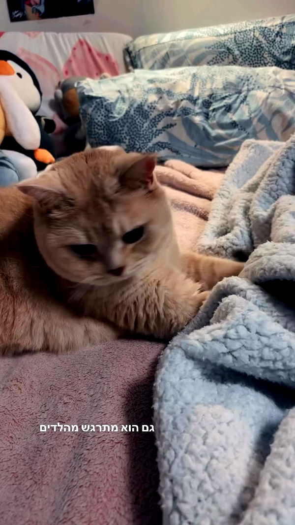 bbyerikss archive video preview