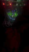 hellowkitty4ever Altpins Profile Picture