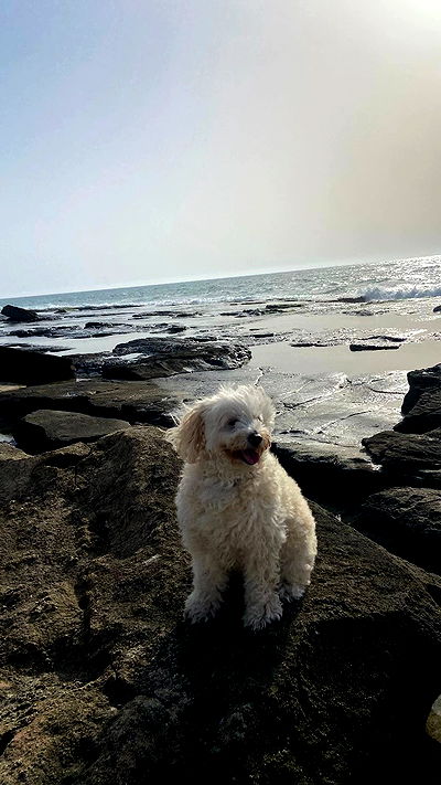 feelbetterinmysweater feelbetterinmysweater archive video