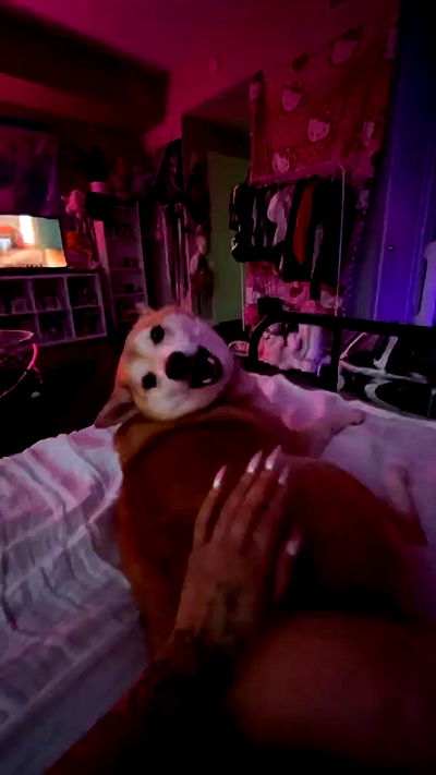 zommmbri zommmbri archive video