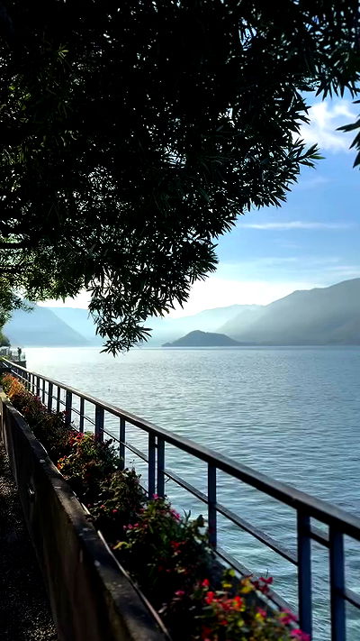 biton__adi biton__adi archive video