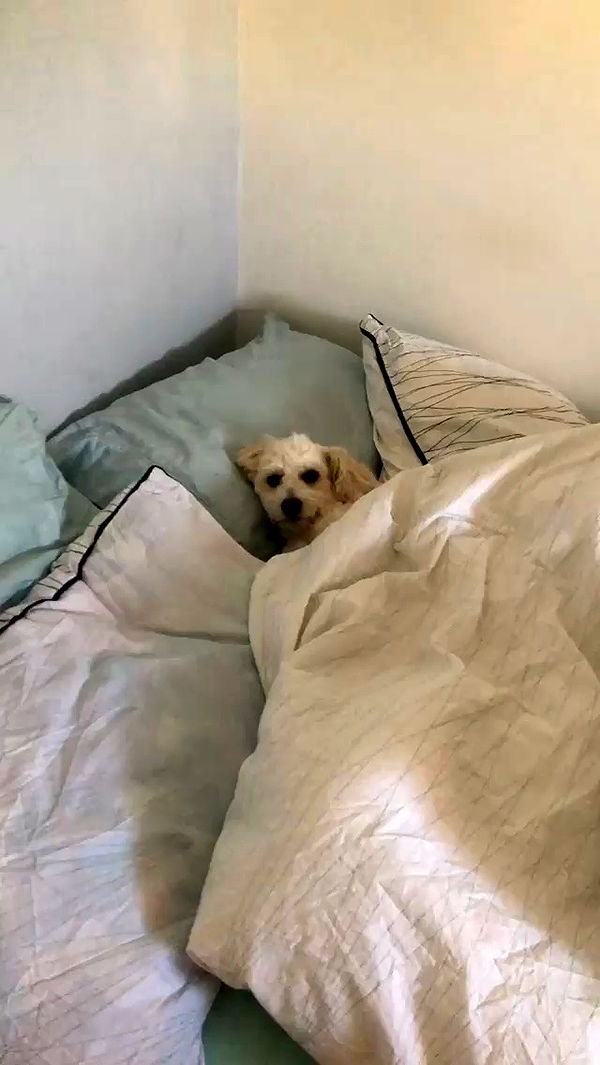 feelbetterinmysweater archive video preview