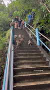 shelly_roberin Altpins Profile Picture