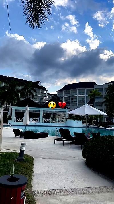 bakedsloths bakedsloths archive video