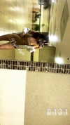eva.nativ Altpins Profile Picture