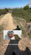 hagarschubert Altpins Profile Picture