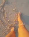 talll_cohen Altpins Profile Picture