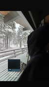 ellmari.e Altpins Profile Picture