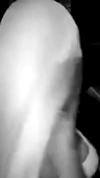 dreambabydrea dreambabydrea archive video