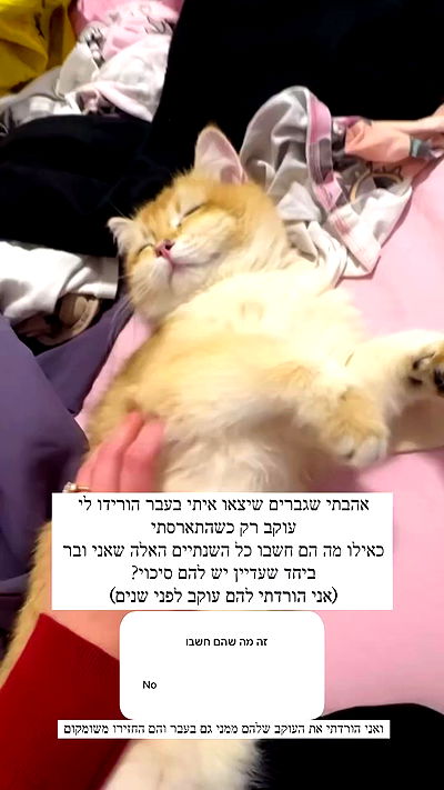 itsilanosh itsilanosh archive video