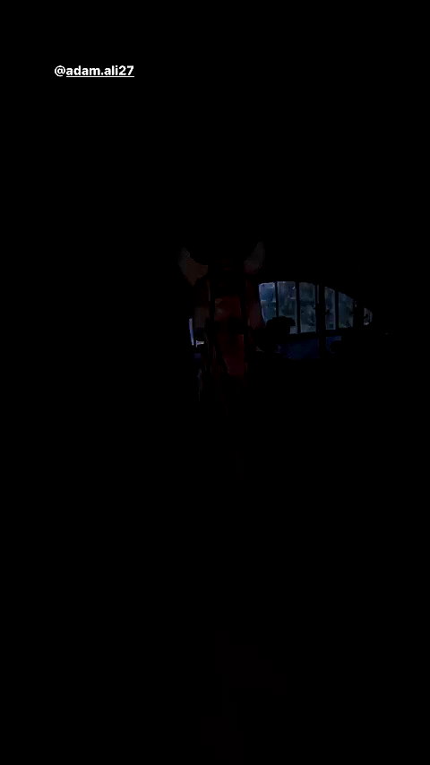 zaperwave archive video preview