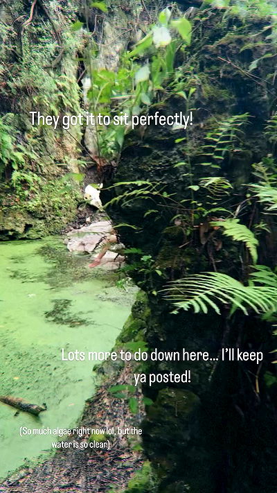 rachelc00k rachelc00k archive video