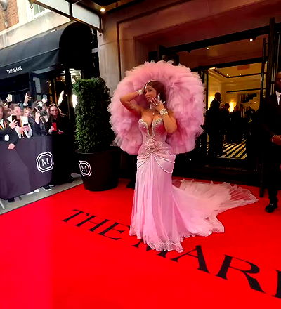 iamcardib iamcardib archive video