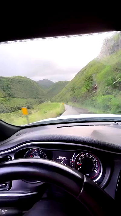 zommmbri zommmbri archive video