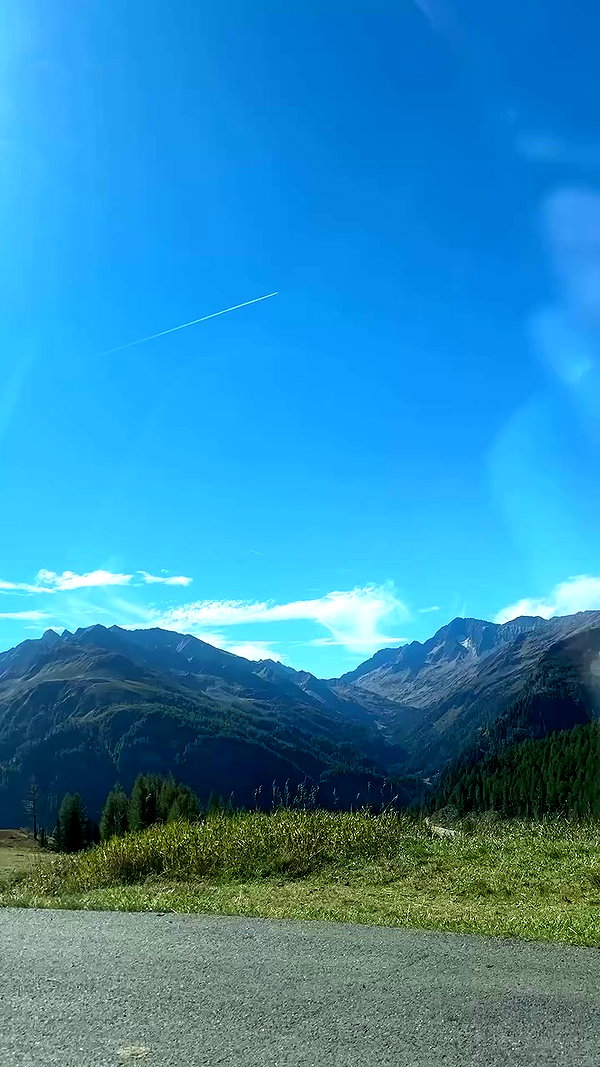 sheli.belayev archive video preview