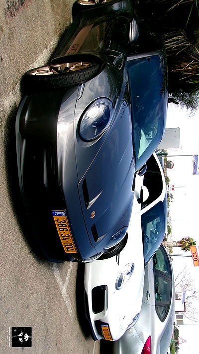 simp_for_cats_ simp_for_cats_ archive video