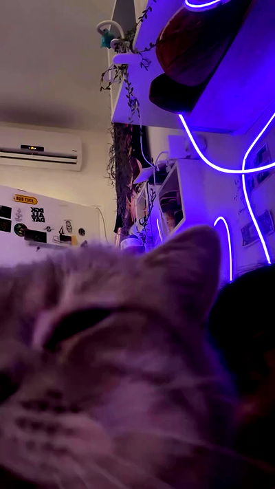 natalllluli natalllluli archive video