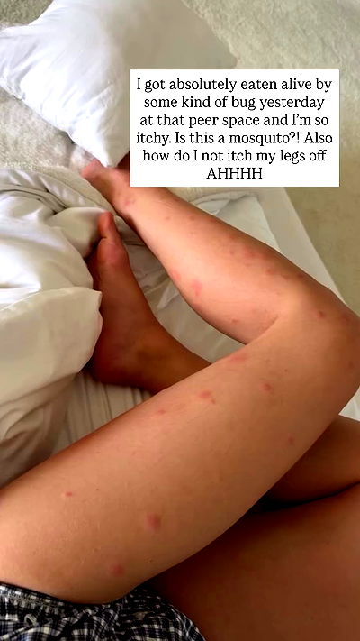 sophiemudd sophiemudd archive video