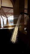noa_mendel_ Altpins Profile Picture