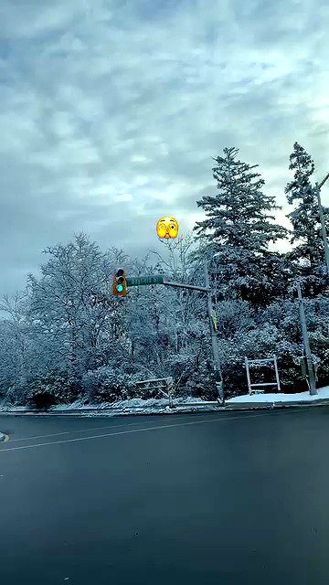 kimberlypoliakov archive video preview