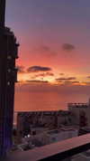 daria.lesin Altpins Profile Picture