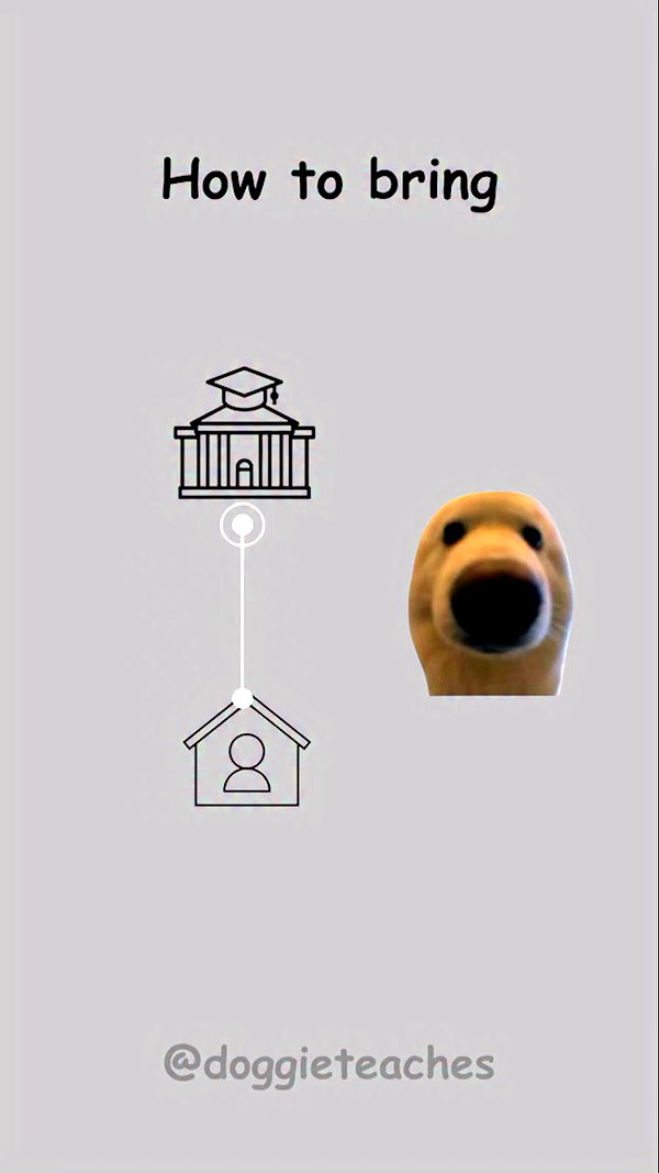 doggieteaches archive video preview