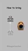 doggieteaches Altpins Profile Picture