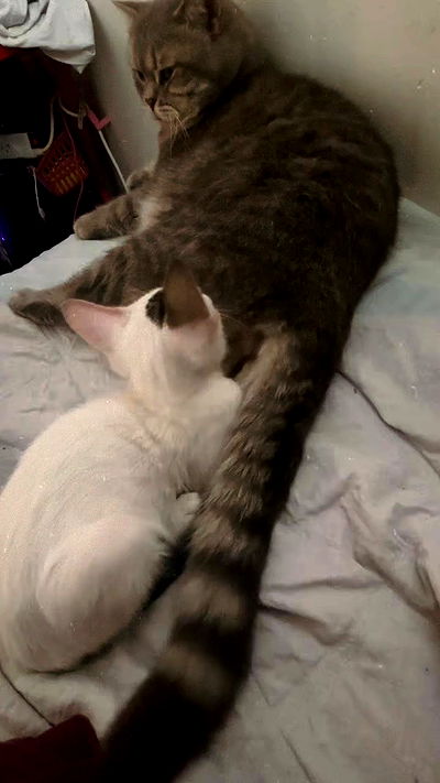 natalllluli natalllluli archive video