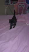 miss_baby007 Altpins Profile Picture