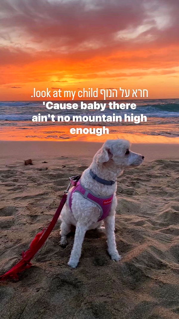 feelbetterinmysweater archive video preview