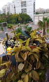 hadar8686 Altpins Profile Picture