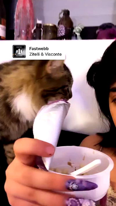 hellokittyangel666 hellokittyangel666 archive video