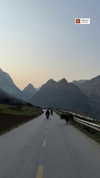 veronika_grish Altpins Profile Picture