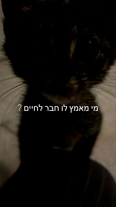 feelbetterinmysweater feelbetterinmysweater archive video