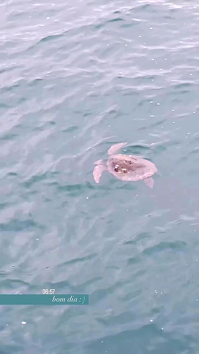 eusandyyh eusandyyh archive video