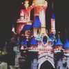 talll_cohen Altpins Profile Picture