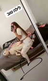 iness_david Altpins Profile Picture