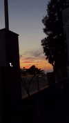 maria_vaisburd Altpins Profile Picture